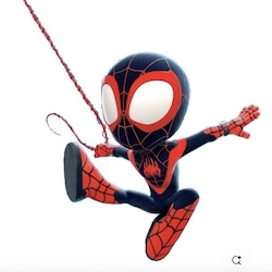 SPIN